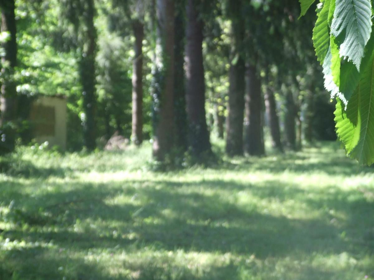 L'Auberge De La Foret Mervent Eksteriør bilde